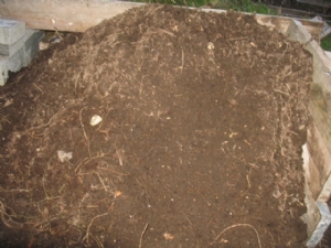 Compost retrieved from the heap today Compost retrieved from the heap today