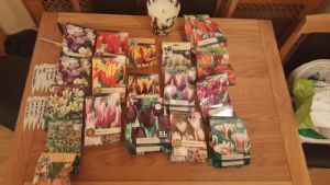 My Bulb Addiction.. My Bulb Addiction..