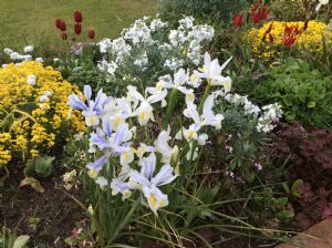 1st May 1st May