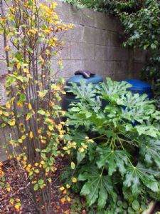 Compost bin screening Compost bin screening
