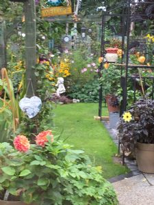 Garden video Garden video