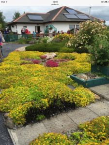 Hazel's Open Day 9th July 2017 Hazel's Open Day 9th July 2017