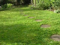 Grass-cutting Grass-cutting