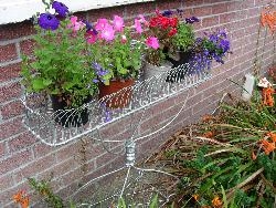 Plant stand with plants Plant stand with plants