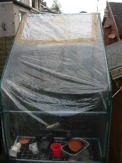 Plastic greenhouses?? Plastic greenhouses??