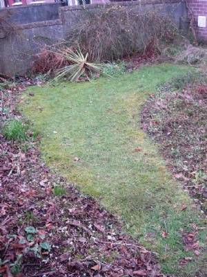 Front garden job, before Front garden job, before
