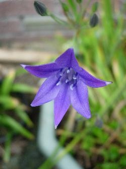 Anyone know what this is? Anyone know what this is?