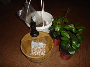 Plants from Bakker Plants from Bakker