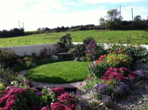 Still flowering it's socks off Still flowering it's socks off