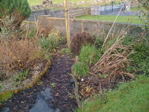 area been cleared area been cleared