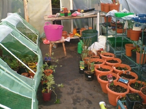 potting on potting on
