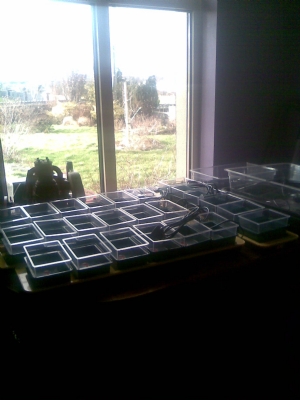 propagators propagators