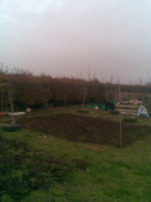 plot no2 plot no2