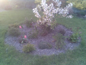 hebe cut down to size hebe cut down to size