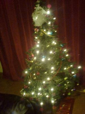 oh christmas tree oh christmas tree oh christmas tree oh christmas tree