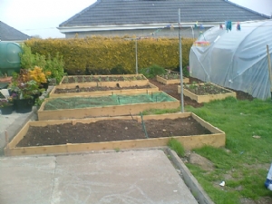 a view of my new raised veg beds a view of my new raised veg beds
