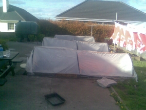 new cloches new cloches