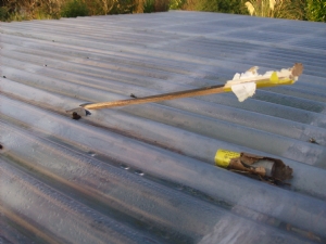Greenhouse rocket. Greenhouse rocket.