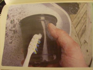 Washing time again. Washing time again.