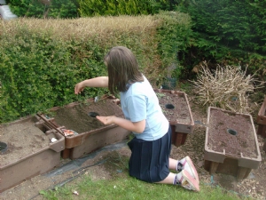 Orla my Niece done her sowing yesterday evening. Orla my Niece done her sowing yesterday evening.
