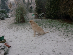 Brucey is also watching out for sunshine. Brucey is also watching out for sunshine.