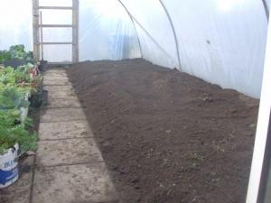 Time to look through sowing charts. Time to look through sowing charts.