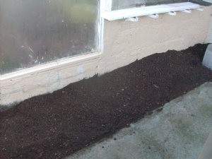 The lowered bed in the greenhouse. The lowered bed in the greenhouse.