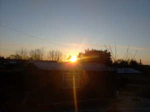 Sun,the garden needs you. Sun,the garden needs you.