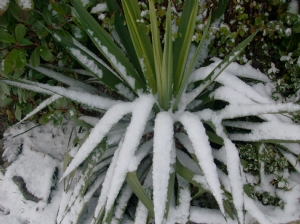 In the main garden. In the main garden.
