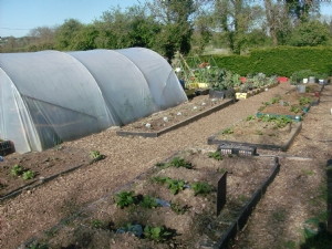 Filling up,the main vegetable beds. Filling up,the main vegetable beds.