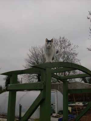 Eyeing the job for me. Eyeing the job for me.