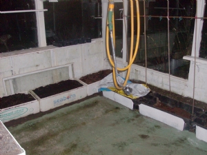 Greenhouse cleaning for 2010. Greenhouse cleaning for 2010.