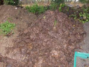 Time to feed the veg beds. Time to feed the veg beds.