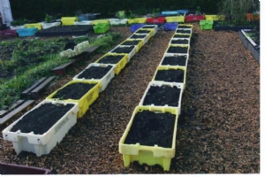 Set to grow. Set to grow.