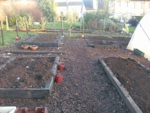 Vegetable garden work. Vegetable garden work.