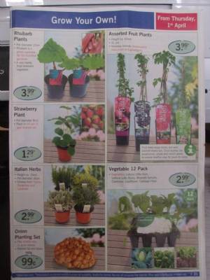 Grow Your Own. Grow Your Own.