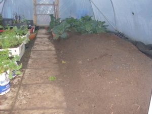 Root crop bed. Root crop bed.