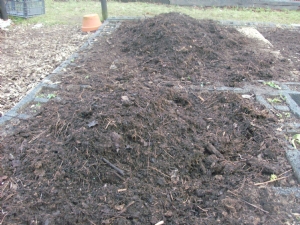 Home made compost. Home made compost.