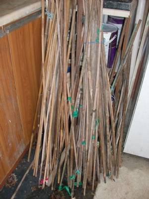 Time to start scrubbing canes later this week. Time to start scrubbing canes later this week.