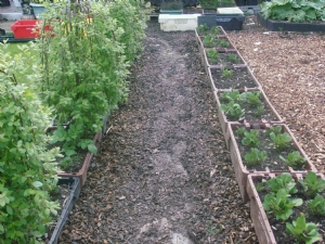 The mulch has a stream flowing down it. The mulch has a stream flowing down it.