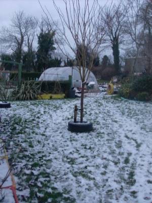Good by snow. Good by snow.