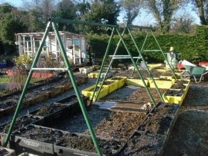 Legume beds. Legume beds.