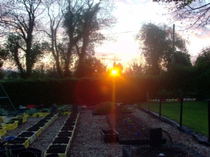 Warming up for the Summer.Shine,shine,shine. Warming up for the Summer.Shine,shine,shine.