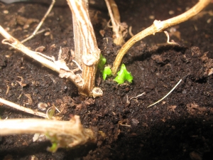 Signs of life. Signs of life.