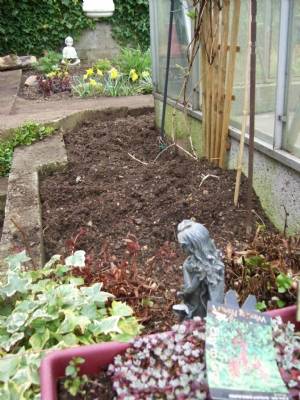 Cleared area with a plant hat was taking over . Cleared area with a plant hat was taking over .