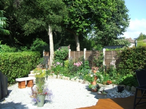 Overplanted Boarder Overplanted Boarder