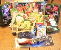 Bulbs for planting Bulbs for planting