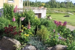 Cottage Garden Cottage Garden