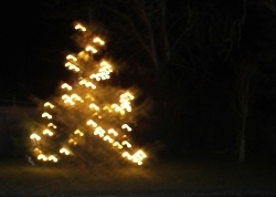 Start of Christmas Spirit Start of Christmas Spirit