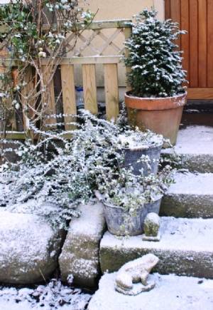 Snow is falling Snow is falling